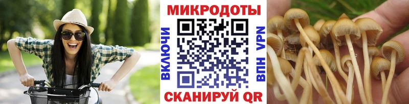 Купить где  Одинцово  Псилоцибиновые грибы Magic Shrooms 